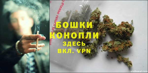 хмурый Ладушкин