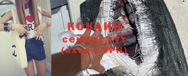apvp Кукмор