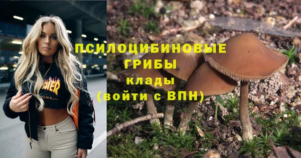 apvp Кукмор