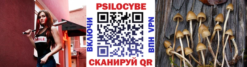 Псилоцибиновые грибы Cubensis  Купить где  Каменка 